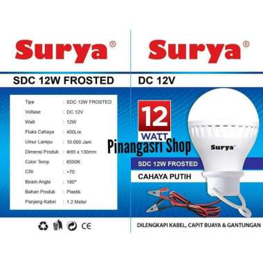 Lampu LED SURYA 12W 12 Watt DC 12V Aki Solar Cell Panel Surya Accu 12 DC CLEAR