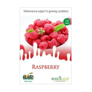Maica Leaf Buah Raspberry Benih Tanaman [15 Benih]