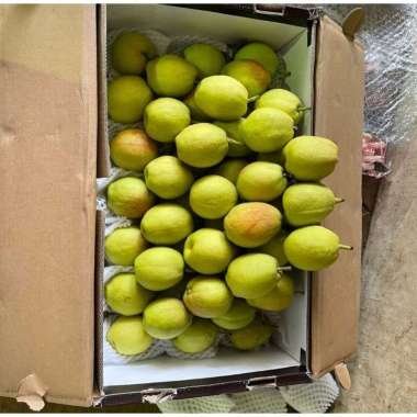 buah pear sianglie / pir fragrant 1dus