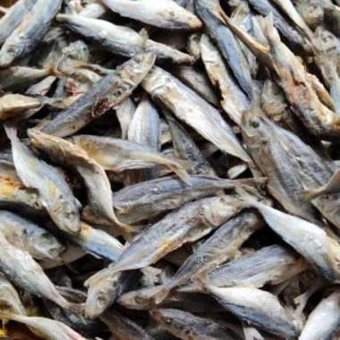 ikan asin klotok ikan asin layang