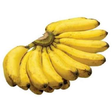 Pisang Ambon : kuning - Lumut / Pisang Raja : Bulu - Susu - Sereh - aa P Raja Susu