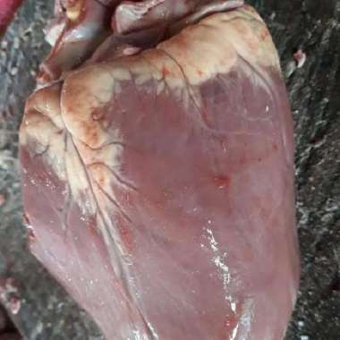 Daging Jantung Sapi 1/2 kg