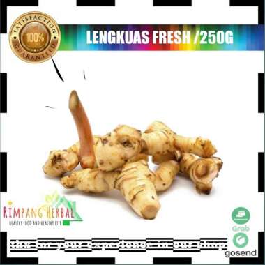 lengkuas / laos / lengkuas laos fresh bersih 1 KG