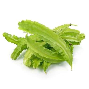 KECIPIR