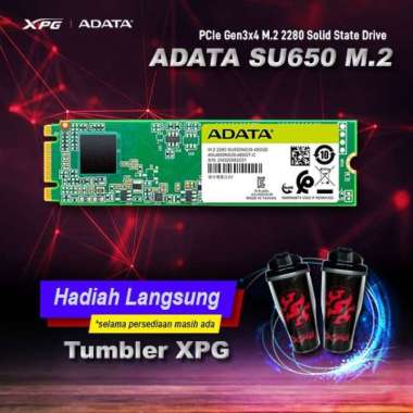 SSD ADATA SU650 480GB - SSD M.2