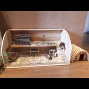 Rumah Hamster / Kandang Hamster Kayu Jatibelanda Varian Based Information