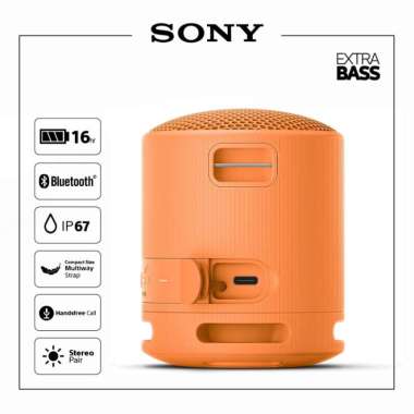 Sony SRS-XB100 Portable Wireless Speaker Bluetooth Extra Bass