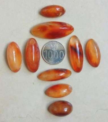 Borong Natural Pandan 1 Sisik Merah Kuning Batu Akik Gambar