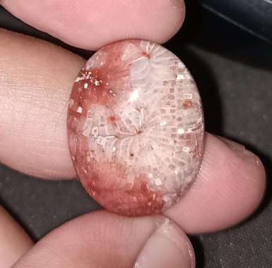 Natural Akik Batu Motif Gambar Teratai Jaring Lipan Putih Antik 3