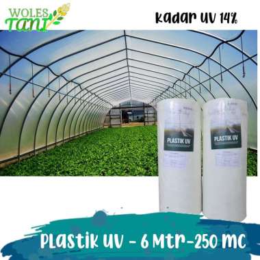 Plastik UV Lebar 6 Meter 250 Mikron untuk Green House