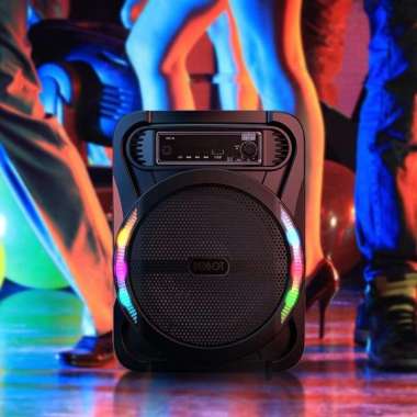 ROBOT-RB450 BLUETOOTH WIRLESS MICROPHONE KAROKE 8 INCH