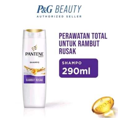 Promo Harga Pantene Shampoo Total Damage Care 290 ml - Blibli