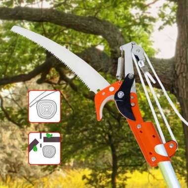 XANDERTING DAHAN TALI GERGAJI RANTING POHON TINGGI