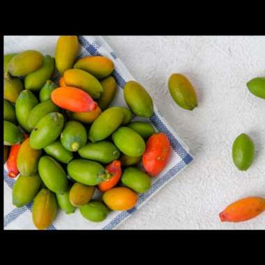 Buah Melinjo Daun Melinjo Kulit Melinjo Segar 250gram