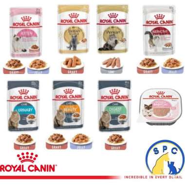 ROYAL CANIN RC Wet Food Makanan Basah Kitten Intense Beauty Gastro 100 - MaineCoon