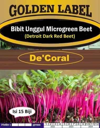 Bibit Microgreen Beet Detroit Dark Red|Benih Microgreen Beet Detroit