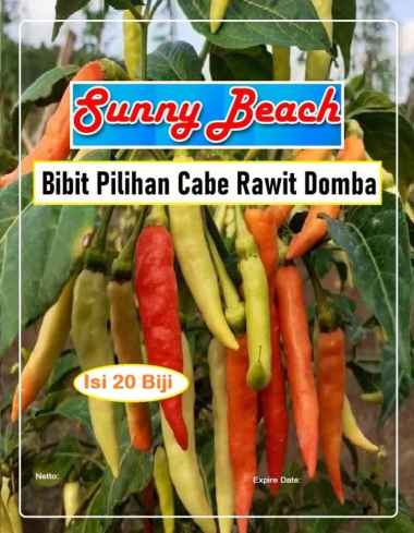 Bibit Pilihan Cabe Rawit Domba|Benih Cabe Rawit Domba|Cengek Domba
