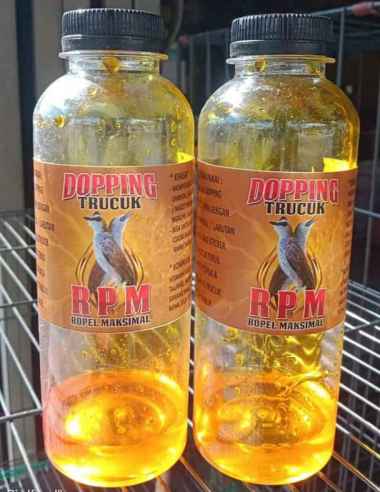 RPM DOPING TRUCUK PENGGACOR BURUNG TRUCUK KUTILANG DAN BURUNG PEMAKAN BUAH LAINNYA