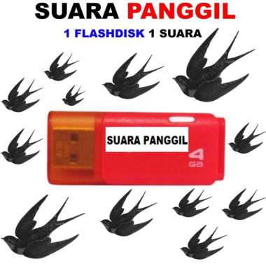 Suara Panggil / Luar Burung Walet, suara tarik, sedot, cek lokasi walet dan suara inap burung walet