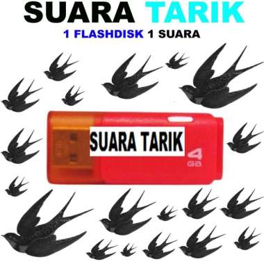 Suara Panggil / Luar Burung Walet, suara tarik, sedot, cek lokasi walet dan suara inap burung walet