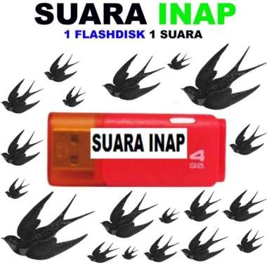 Suara Panggil / Luar Burung Walet, suara tarik, sedot, cek lokasi walet dan suara inap burung walet