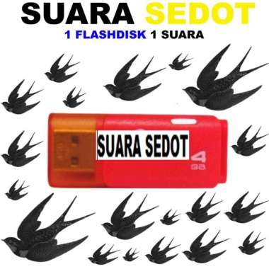 Suara Panggil / Luar Burung Walet, suara tarik, sedot, cek lokasi walet dan suara inap burung walet