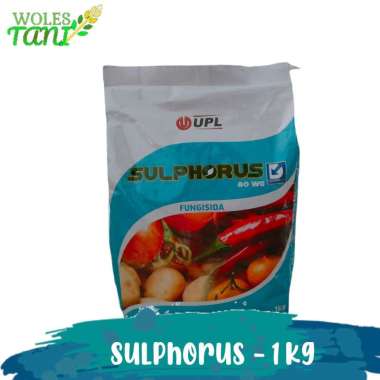 Sulphorus 1 Kg Fungisida Belerang