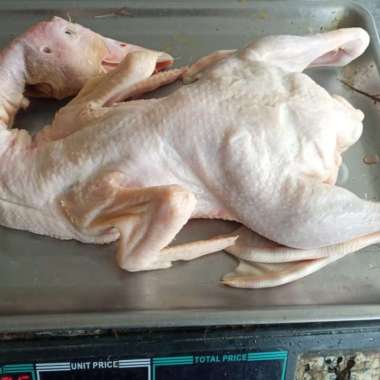 Bebek peking 1,3kg up murah saja/bebek 1,3kg berat bersih/bebek peking/bebek murah