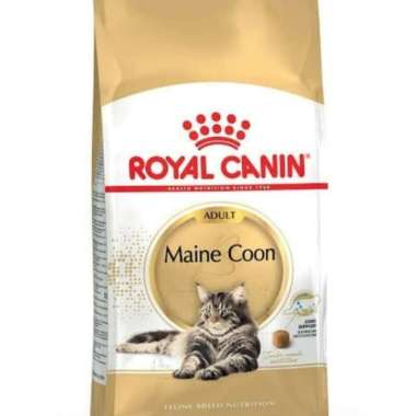 Royal Canin Maine Coon Adult 4Kg