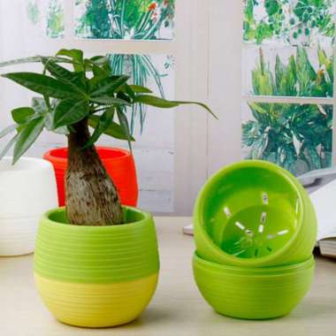 Pot Bunga Hias Plaster Plastik Kaktus Vas Tanaman Hias Dekorasi Tempat Mini Guci Lucu Portable 5 PCS