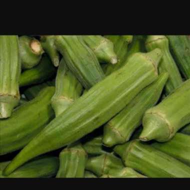 Sayur okra okura hijau segar 1 kg