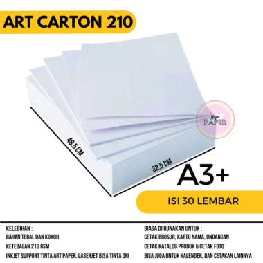 art carton 210 gsm a3 plus isi 30 lembar / art carton a3 plus 210 gsm Multicolor