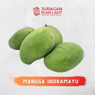Buah Mangga Indramayu Mengkel Segar - 1 Kilogram