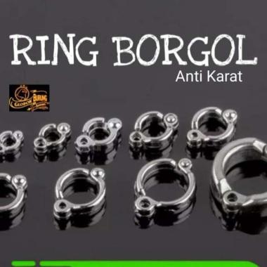 Ring borgol kaki burung parrot falk sun conure kakatua makaw stainless Putih + ukuran 10 mm