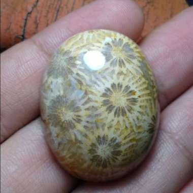 Natural Akik Batu Motif Gambar Bunga Teratai Unik Antik 34