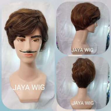 Wig Pria /Rambut Palsu Pria /Wig Cowok /Wig Pendek /Wig Panjang