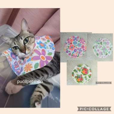 Collar Kucing Collar Kitten Collar Anak Kucing Bahan Nyaman M