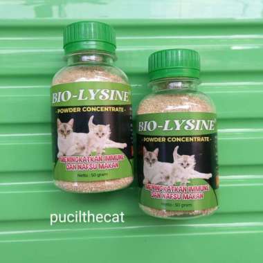Lysine Kucing Vitamin Gemuk Kucing Vitamin Penggemuk Kucing Prolysine