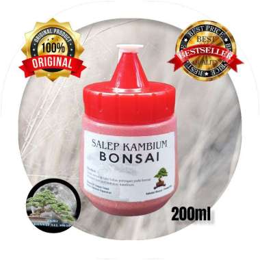 SALEP KAMBIUM BONSAI Salep kambium bonsai
