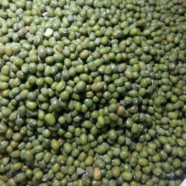 KACANG HIJAU KEMASAN KILOAN (1000 gram | 1 kg) - MUNG BEAN by HasanMart