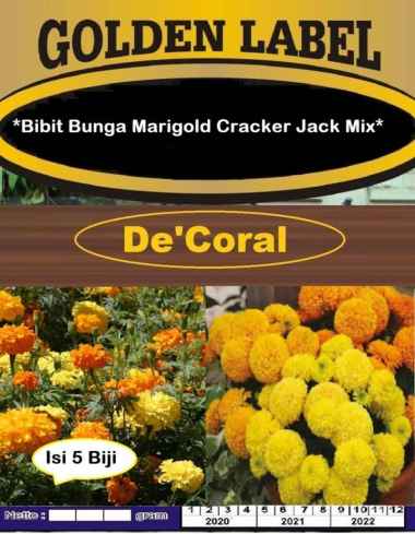 Bibit Bunga Marigold Cracker Jack Mix |Benih Bunga Marigold Cracker