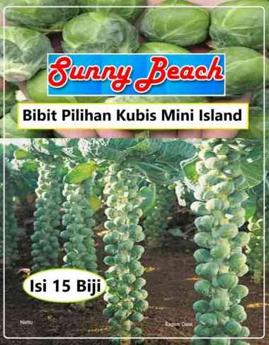 Bibit Pilihan Kubis Mini Island |Biji Benih Kol Mini|Biji Bibit Kubis