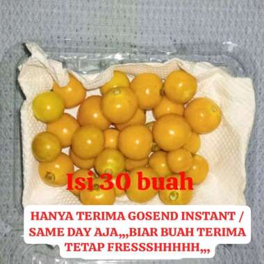 BUAH CIPLUKAN/PYSULIS/CICENDET/GOLDEN BERRIESPACK SEGAR KUPAS