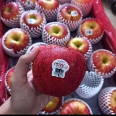 buah apel envy fresh 1kg