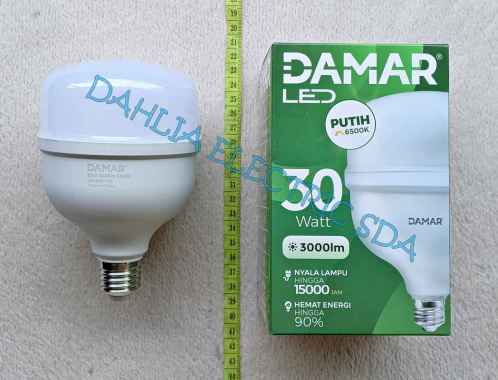 LAMPU LED 30W DAMAR 6500K PUTIH