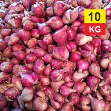 10 KG Bawang Merah Brebes 100% Bawang Merah Brebes Super