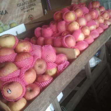 Buah Apel Puji Fresh Segar 1000 Gram / 1 Kg