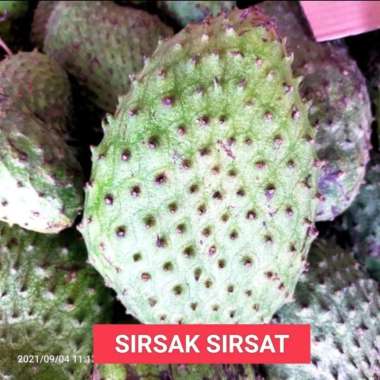 Buah Eksotis Lokal Buah Naga Sawo Strawbery, Alpukat, Manggis, Sirsak; Buah Sirsak
