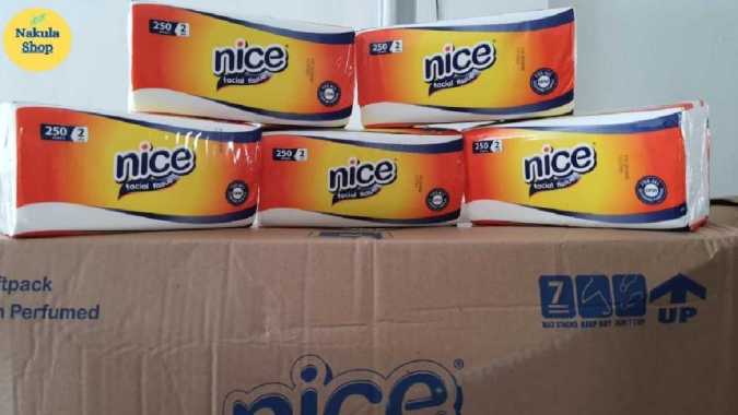 GROSIR 1 DUS Tissue Tisu Nice Facial 250s