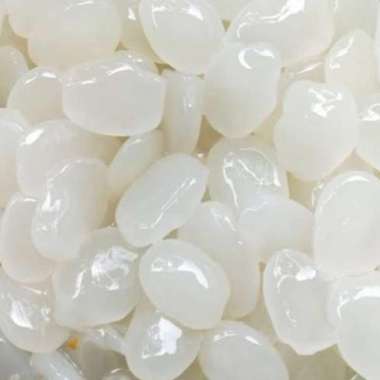KOLANG KALING 1 KG 500 gram